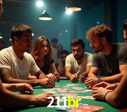 211br visual 1