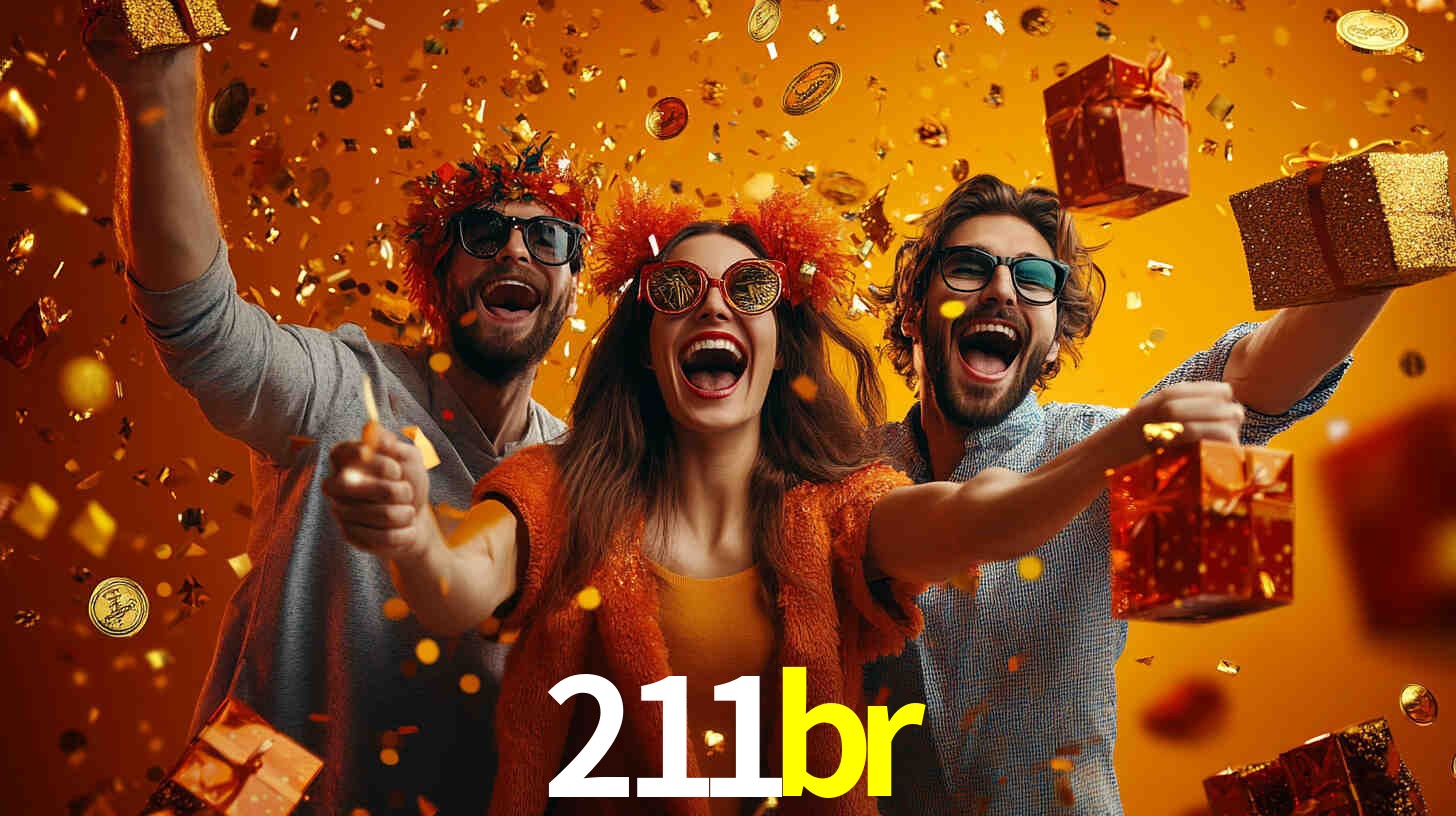 211br.com
