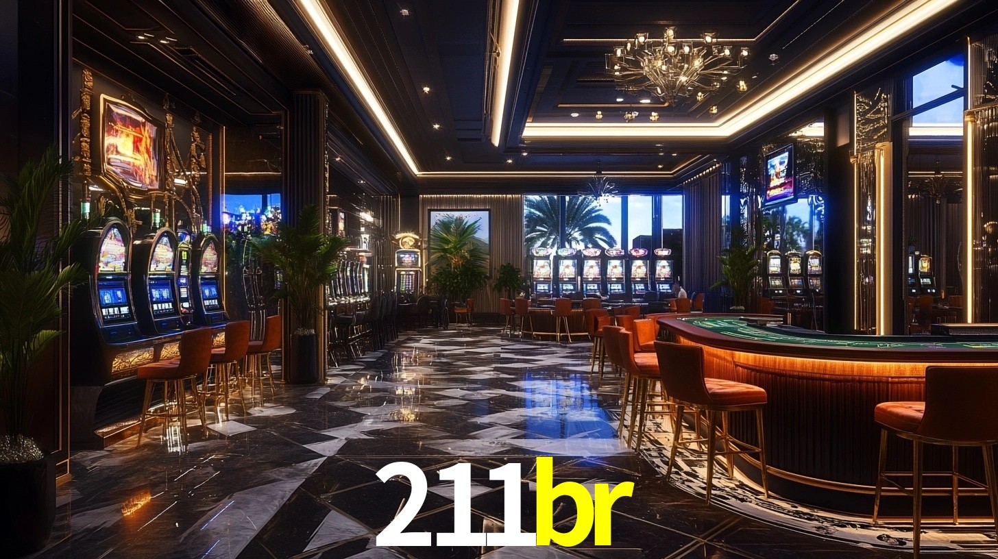 Premium Interface 211br